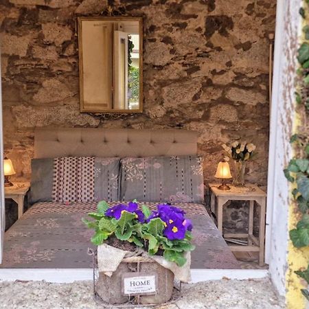 The Cottage San Maurizio D'opaglio Exterior photo